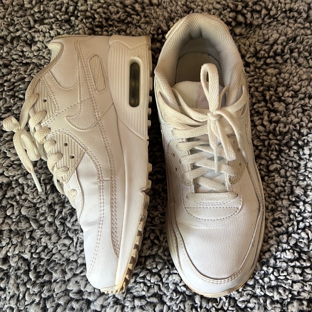 Nike Air Max 90